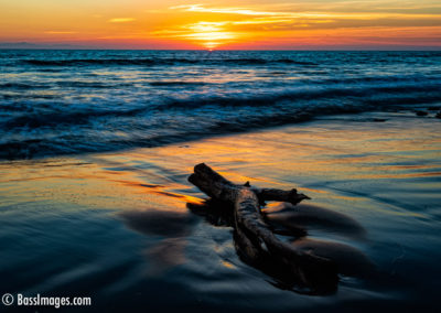 Ventura beach sunset with driftwood